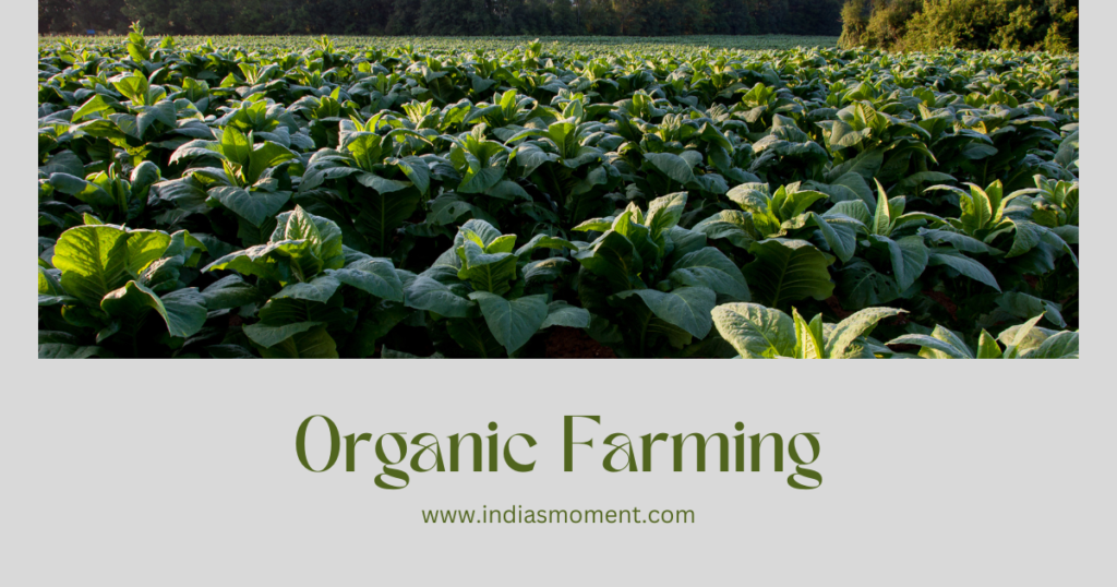 Organic Farming