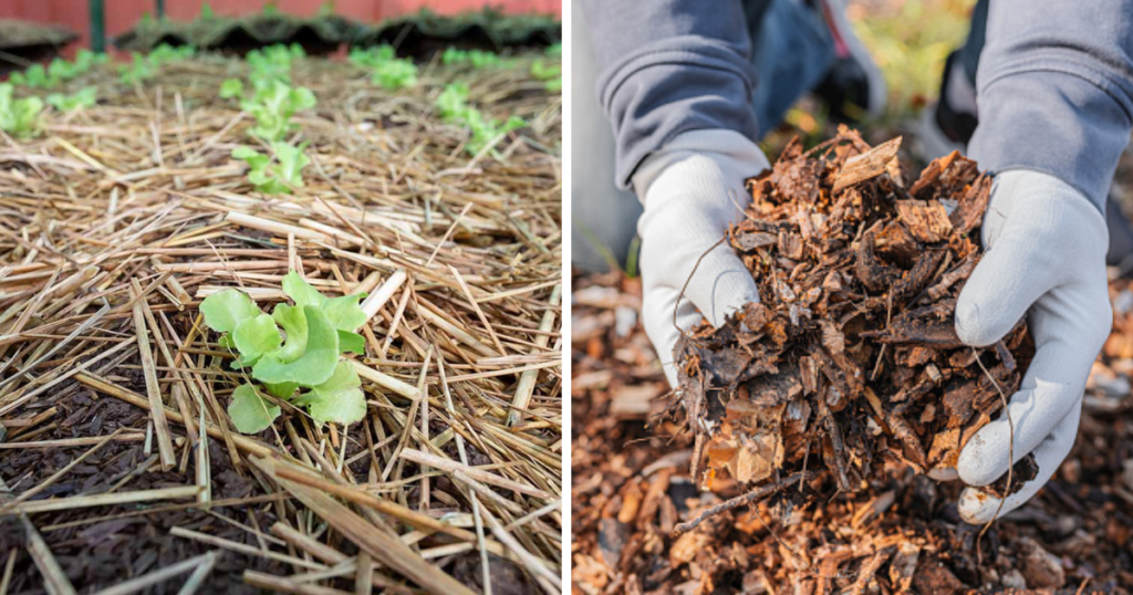 Organic Mulching