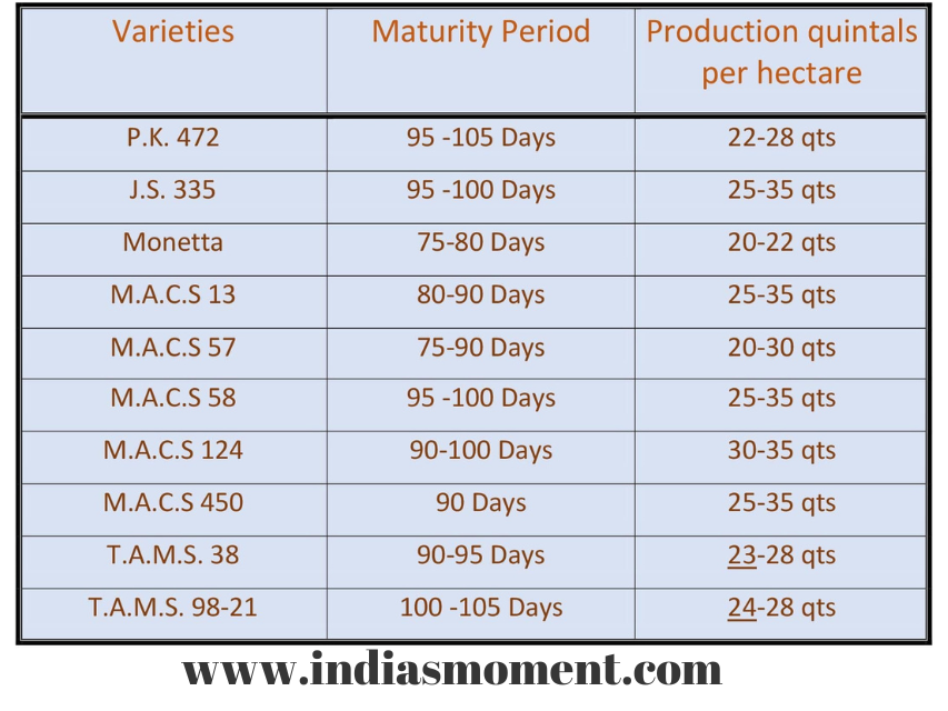 Soybean Varieties